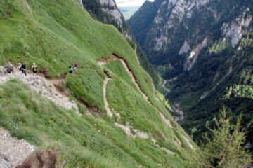 Jepii Mici, FOTO vietuitorul.eu