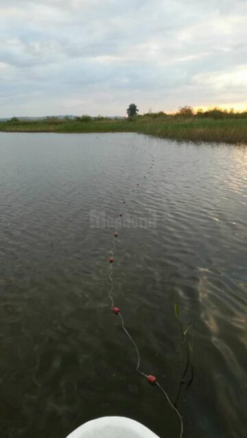 Jandarmii suceveni le-au pus gând rău braconierilor piscicoli
