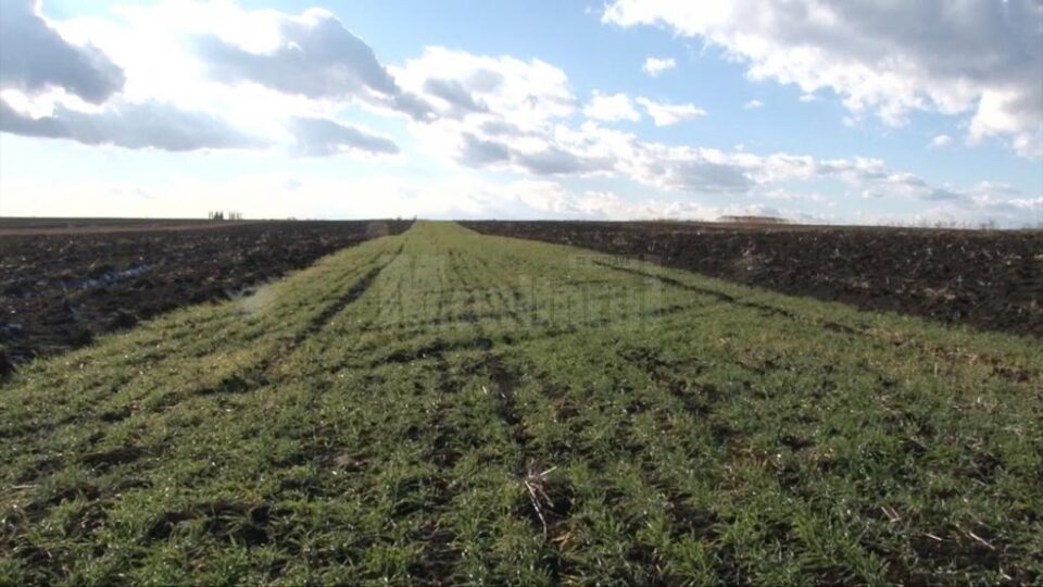 Terenul agricol este fragmentat în parcele de mici dimensiuni