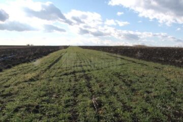 Terenul agricol este fragmentat în parcele de mici dimensiuni