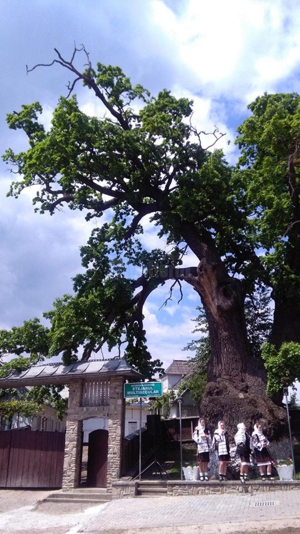 Simpozionul Internațional „Arborii Ocrotiți – simbol al vitalității, diversității și frumuseții”
