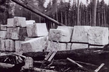 „Cariera de piatră”