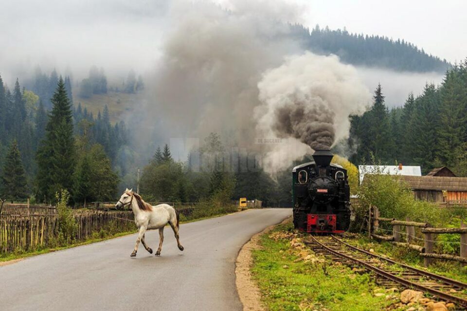 Pitorerscul Văii Moldoviței și al călătoriei în timp cu Mocănița îi atrage ca un magnet pe turiști
