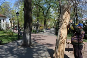 Artistul care dă viață trunchiurilor moarte din parcurile Sucevei