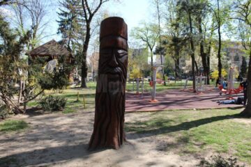 Artistul care dă viață trunchiurilor moarte din parcurile Sucevei
