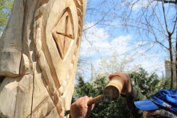 Liviu Jitariu transformă trunchiurilor copacilor morți în creații artistice pline de viață