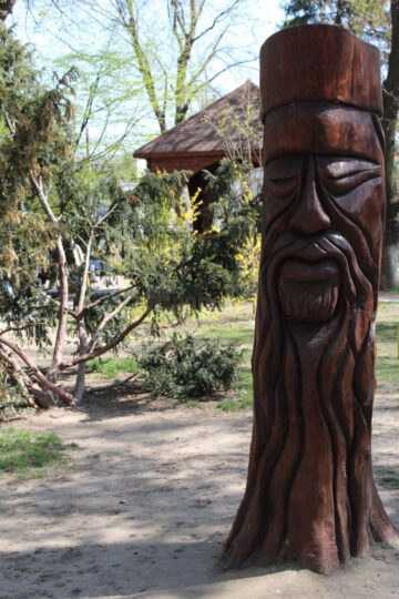 Artistul care dă viață trunchiurilor moarte din parcurile Sucevei