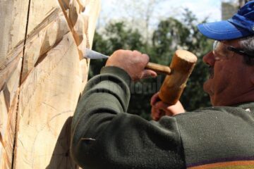 Artistul care dă viață trunchiurilor moarte din parcurile Sucevei
