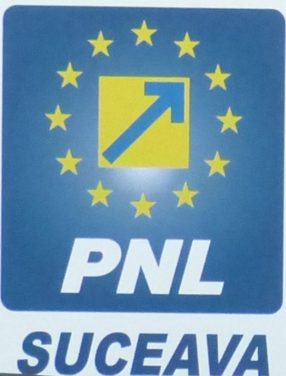 202 liberali suceveni vor vota pentru viitorul președinte al PNL