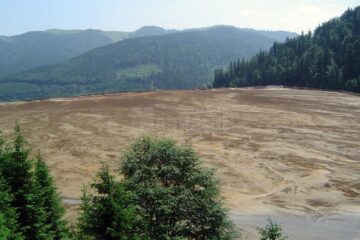 Iazul de decantare Tărnicioara