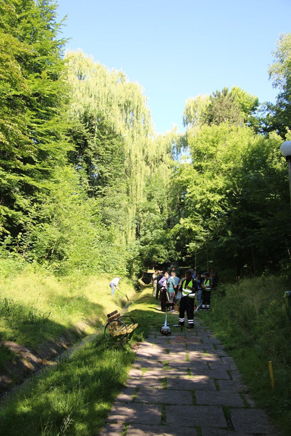 Parcul Șipote a fost toaletat și igienizat prin munca a aproape o sută de voluntari