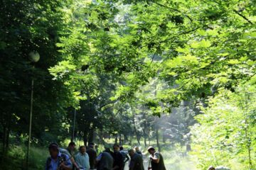 Parcul Șipote a fost din nou toaletat și igienizat cu voluntari ai Direcției Silvice, Primăriei Suceava dar și elevi