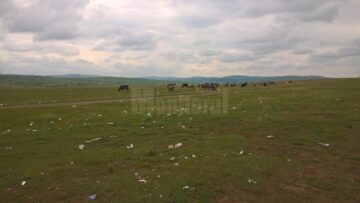 Gunoiul strâns de la săteni, trântit cu nonșalanță pe imaș de conducerea Primăriei Bosanci