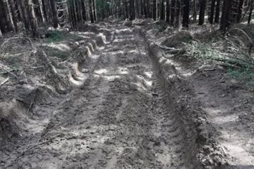 Drumul de acces în satul Cununschi, transformat într-o mocirlă