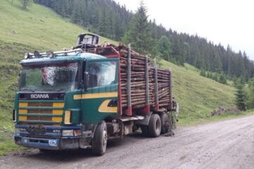 Material lemnos fără documente de proveniență, descoperit de jandarmi