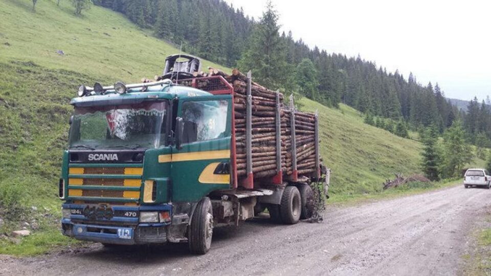 Material lemnos fără documente de proveniență, descoperit de jandarmi