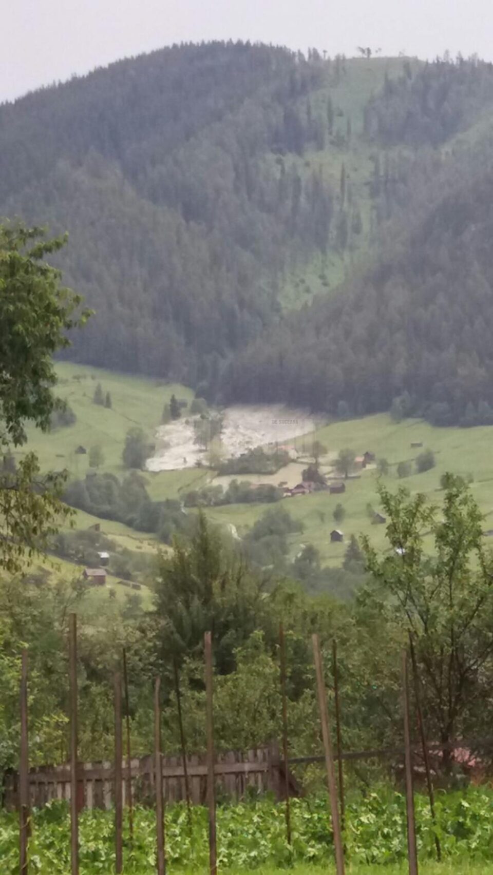 Un val de grindină de câteva minute a afectat culturile la Pojorâta