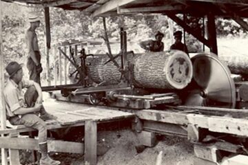 „Combinatul forestier din Fălticeni”