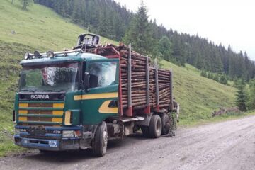 Autocamionul încărcat cu material lemnos