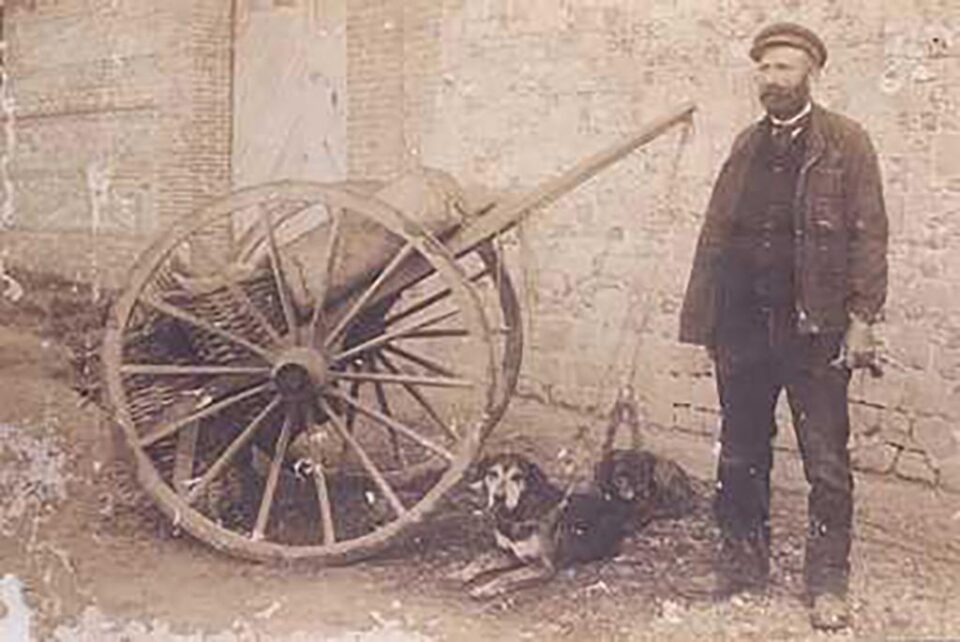 „Nu sta la umbră…”