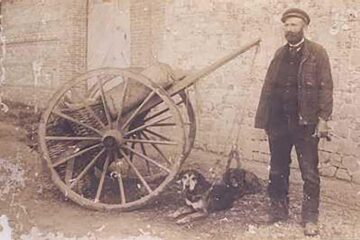 „Nu sta la umbră…”