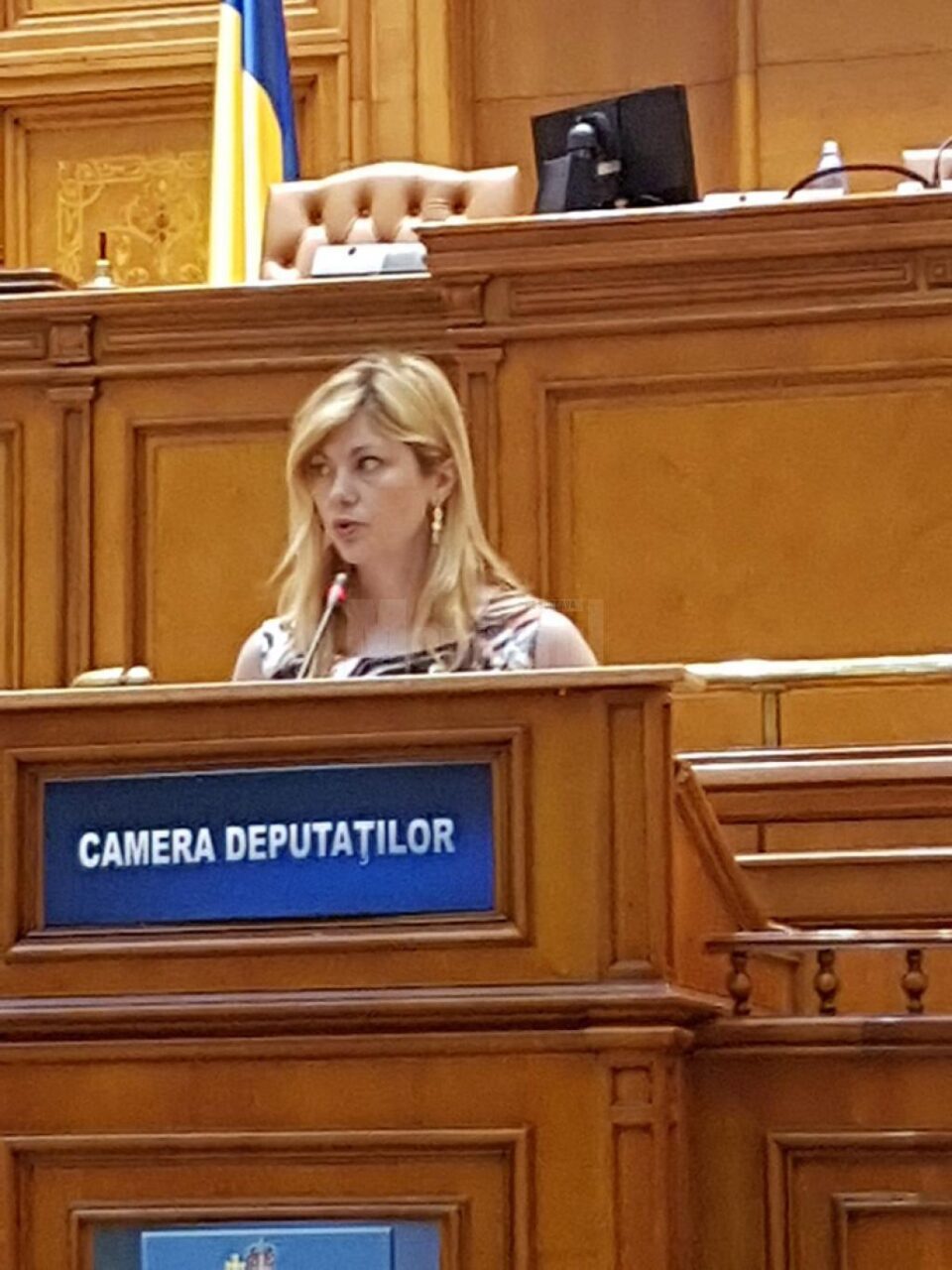 Maricela Cobuz susține proiectul pentru îngrădirea comercializării online a medicamentelor contrafăcute