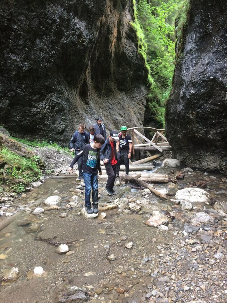 Excursii elevi în rezervația Cheile Moara Dracului
