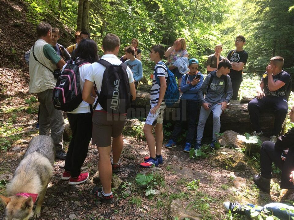 Concurs adresat elevilor din Câmpulung și Pojorâta, în proiectul „Povestea cheilor de la poalele muntelui Rarău”