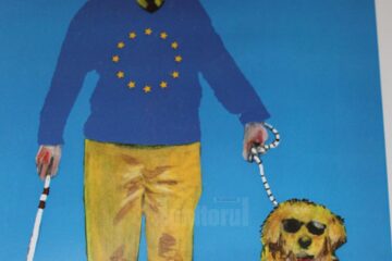 Premiul I – „Bucovina”