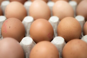 Toxinfecție alimentară de la ouă cu Salmonella Toxinfecție alimentară de la ouă cu Salmonella