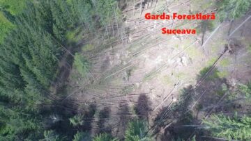 Doborâturi pe mii de hectare de pădure din județ, în urma vijeliilor de joi
