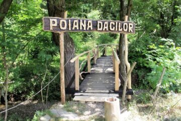 Poiana Dacilor