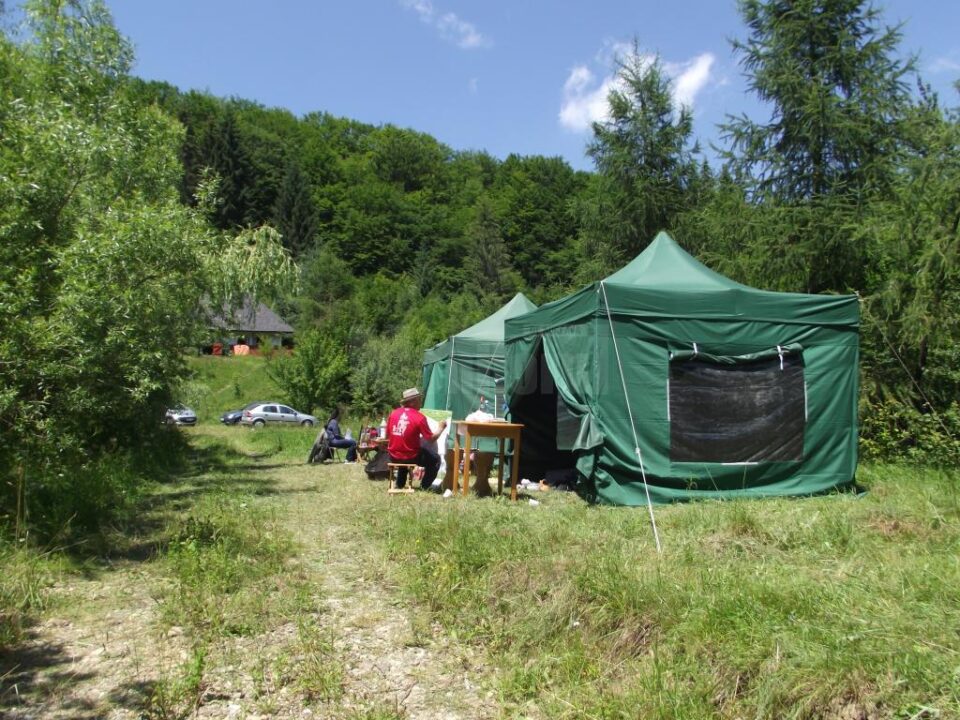 Tabăra „Bucovina reflectată în artele vizuale contemporane”, în plină desfășurare
