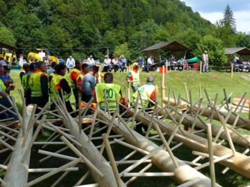 Arbori folosiți în proba de cepuire, care are loc astăzi, la Malini