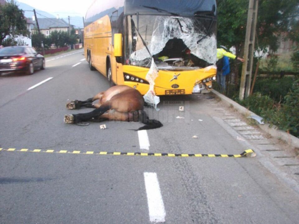 Accidentul s-a petrecut la finele lunii august a anului 2015, pe DN 17