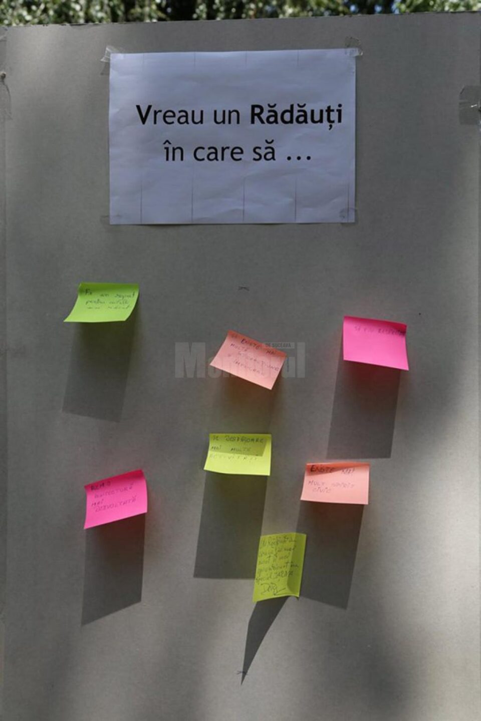 Acțiune inedită - „Voluntar pentru Rădăuți”