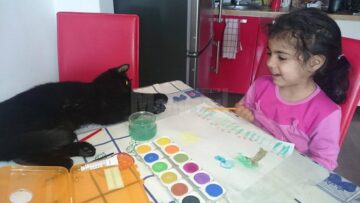 Un ajutor a venit de la pisicile familiei Colda, care au făcut ca adaptarea fetiței în noua casă să fie mai blândă