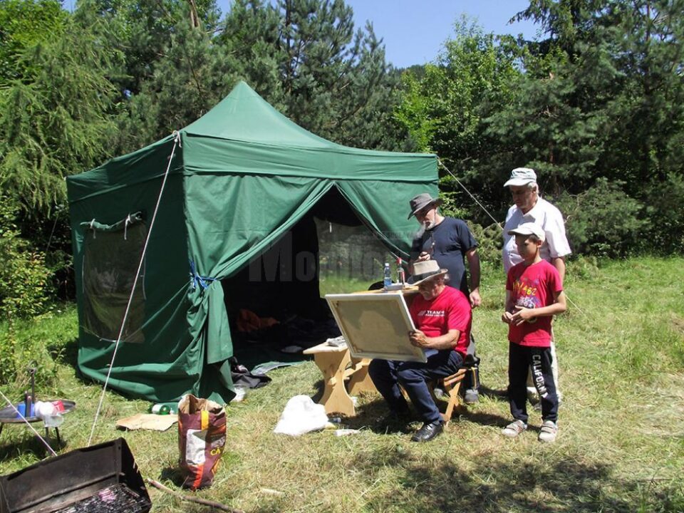 „Bucovina reflectată în artele vizuale contemporane”, tabăra de pe valea pârâului Șoarecu