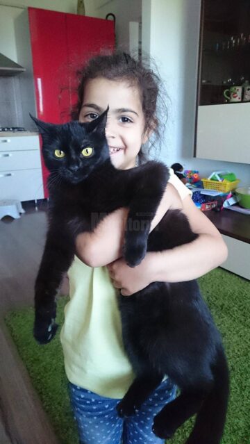 Roxana, fetița cu tenul măsliniu, care se afla pe o listă cu copii greu adoptabili din țară, este acum un copil fericit