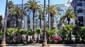 Bulevardul Moulay Youssef din Casablanca foto Mihaela Mihai