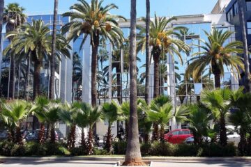 Bulevardul Moulay Youssef din Casablanca foto Mihaela Mihai