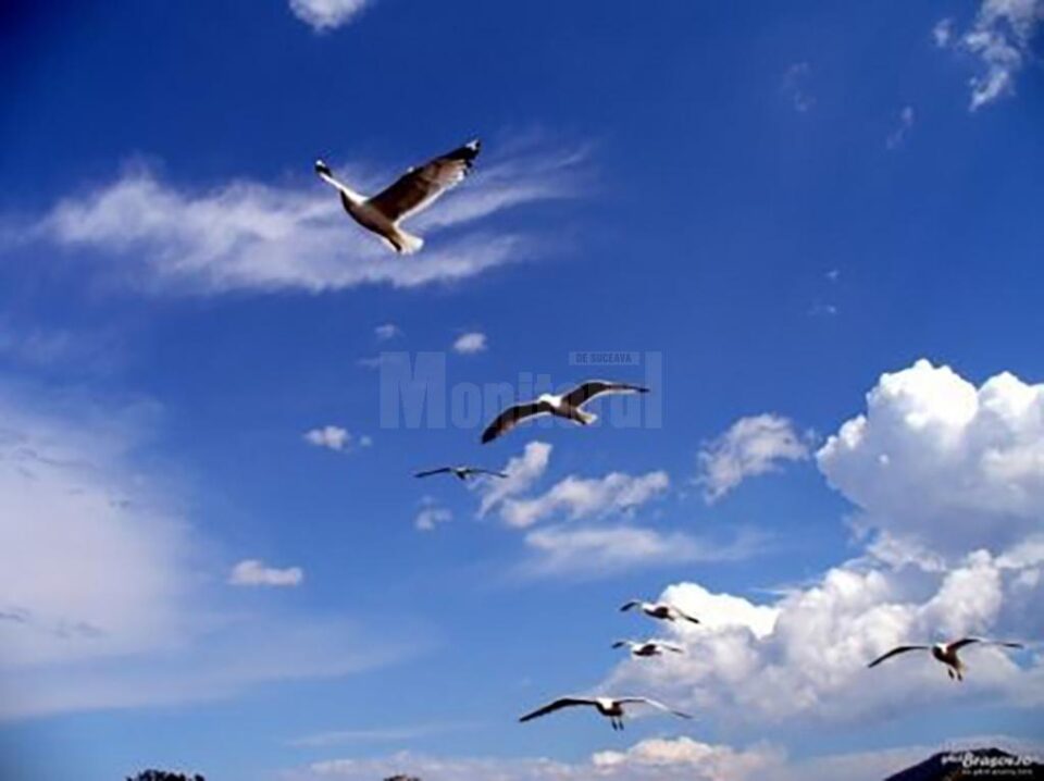 Tortura prin speranță