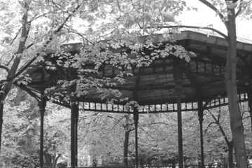 „A fost, cîndva, un parc...”