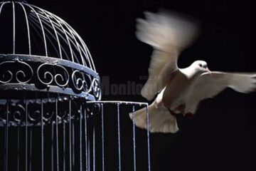 Rezistența anticomunistă și despătimirea sufletului