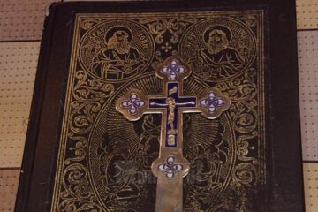 Creștere, maturizare și rodire