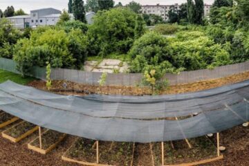 Gradina din exteriorul parcării Kaufland Bucureștii Noi