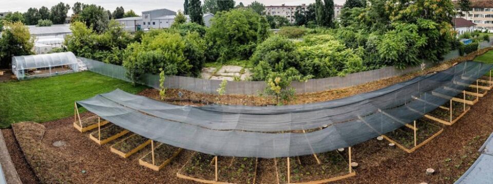 Gradina din exteriorul parcării Kaufland Bucureștii Noi