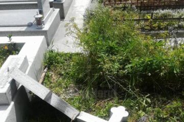 Scene de cosmar la fata locului