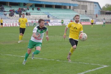 Foresta este tot mai aproape de colaps