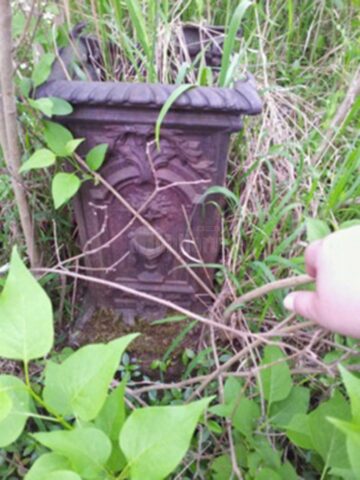 Monumente invadate de bălării